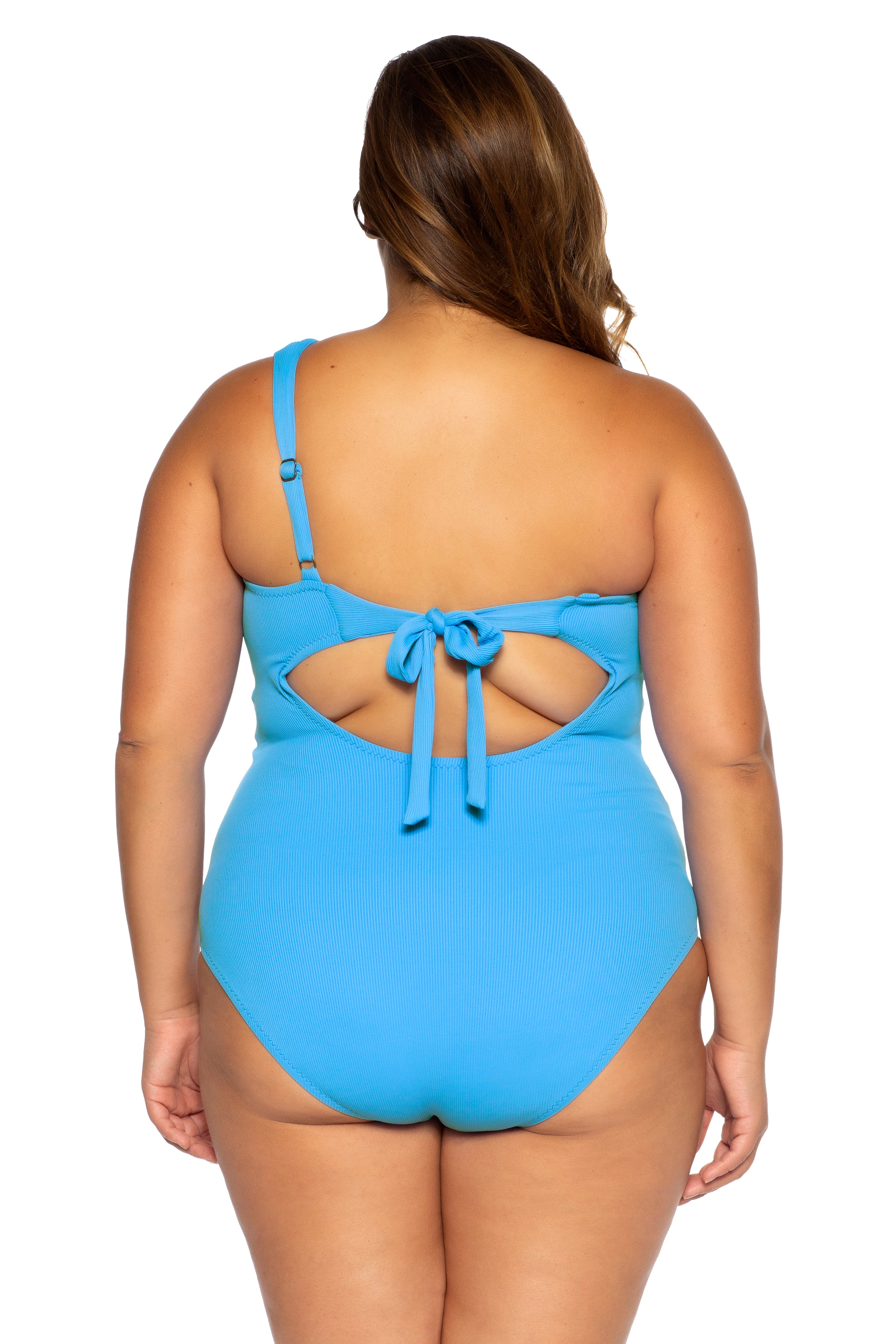 Becca Etc Plus Size Asymmetric Fine Line One Piece