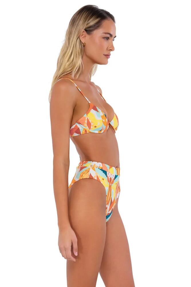 B Swim Woman's Macie Underwire Bikini Top