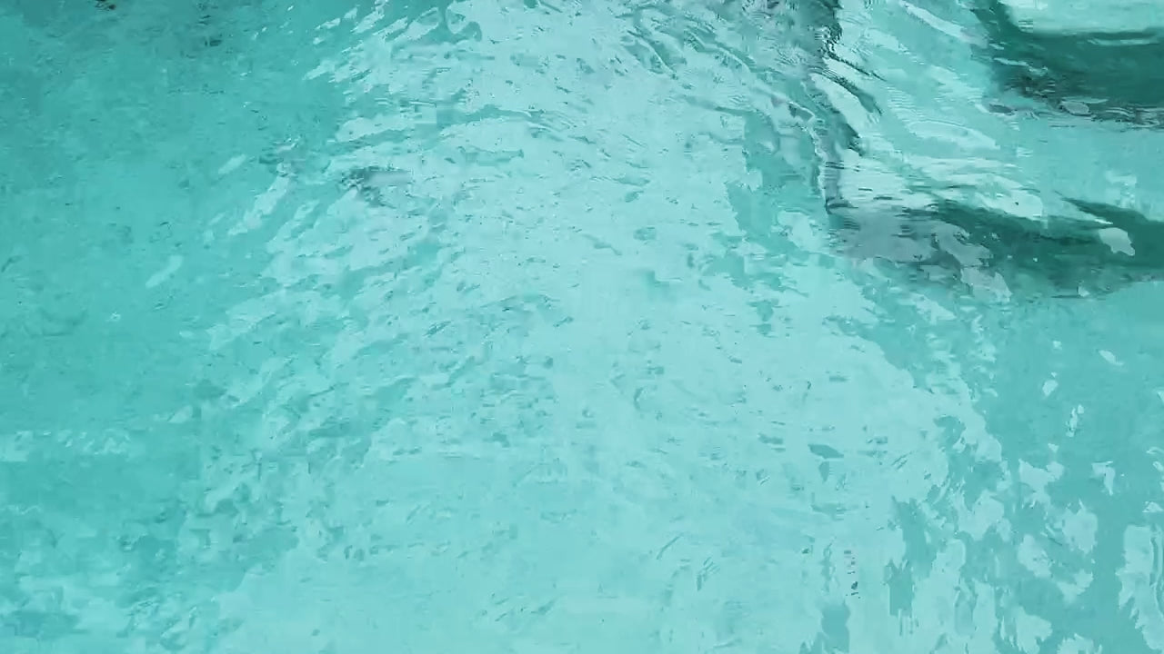 Becca Swim MODERN EDGE HIPSTER